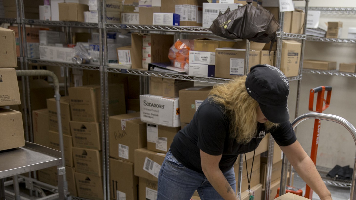 A mail services worker unloads packages